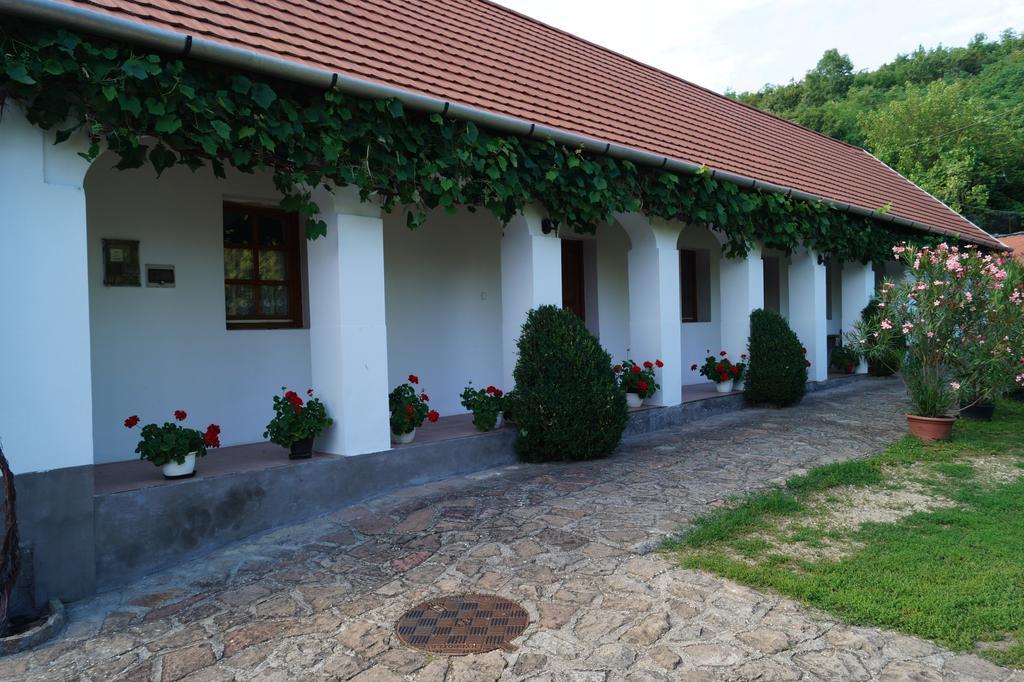 Cseresznyés Vendégház Szomolya Esterno foto
